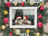 Бесплатно сделаю новогоднюю электронную