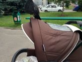 обнинские суровые голуби??