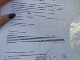 Гистология после ЗБ