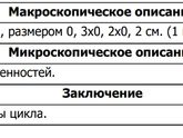 Арт-эко и Архимед. Недостоверная Гистология
