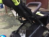 Отдам котика