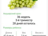 Полных 36 недель