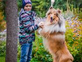 Фото на холсте