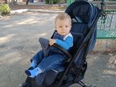 Как же быстро он растёт ?