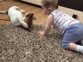 Катюша
