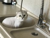 Срочно нужна помощь! Не по теме