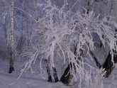 Зимушка Зима...