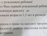 Выплаты от соц защиты.