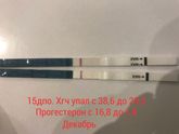 снова что-то пошло не так