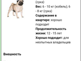 Мопсы