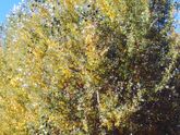 Гулять сегодня - одно удовольствие!🍁🍁🍁