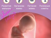 Совсем скоро....👶