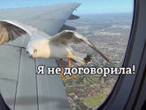 Ахахахаха бл