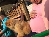 Коварная Погода подвела(