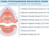 Зубы лезут хаотично