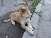 Барнаул не по теме...