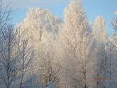 Фото на память. Сегодня просто волшебно