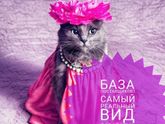 Девочки заработок в интернете