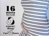 14-15 недель)
