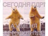 ПДР