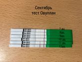 Овуляция