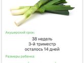 14 дней))) ждём ждём ждём