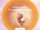 Как посчитать срок беременности