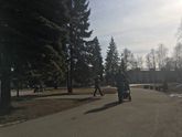 Погулянушки)))