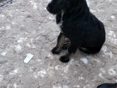 Пост о наблюдениях