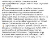 Но-шпа ?