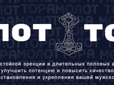 Молот Тора (molot-thora.ru) отзывы
