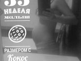 Животик