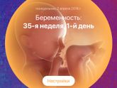 34 week