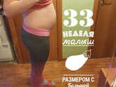 33 недели