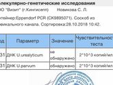 Так Девочки это опять