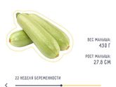 Моя 22 неделька 🤰🏻
