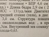 Толстая плацента