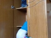 Конкурс детских фотографий. Раунд III