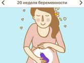 Экватор! 20 недель!!