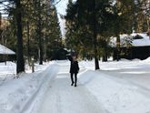 Наша поездка в Кострому
