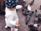 Девочки как праздновать годовасию!
