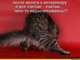 Конкурс детских фотографий. Раунд IV