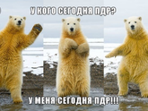 Пдр