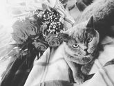 Муж поздравил с новой
