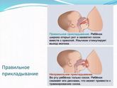 Девочки, если соски не