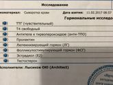 Гормоны Муж