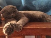 Поздравьте нас. Скоро пополнение. Интим фото. ?