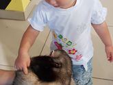 Сходили 🐥🦔🐖