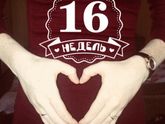 Нам уже 16 недель ??