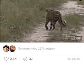 Оставлю это здесь